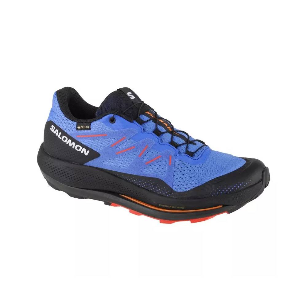 Salomon Pulsar Trail GTX M 416080 bėgimo bateliai