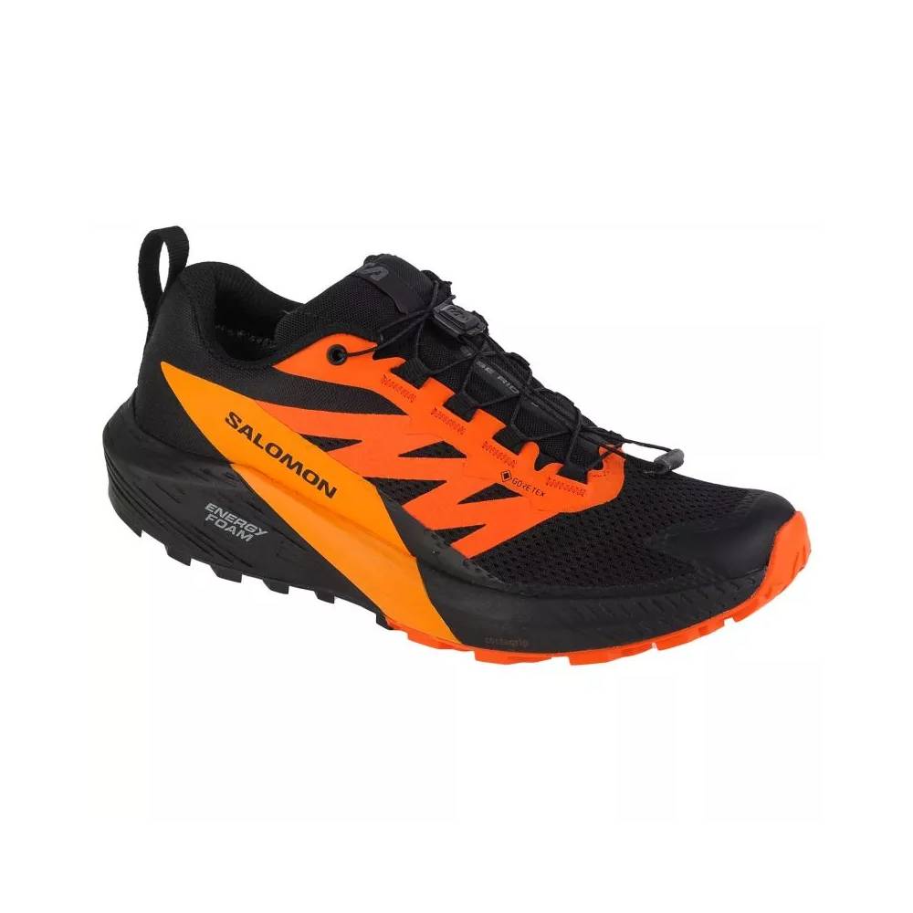 Salomon Sense Ride 5 GTX M 471473 bėgimo bateliai