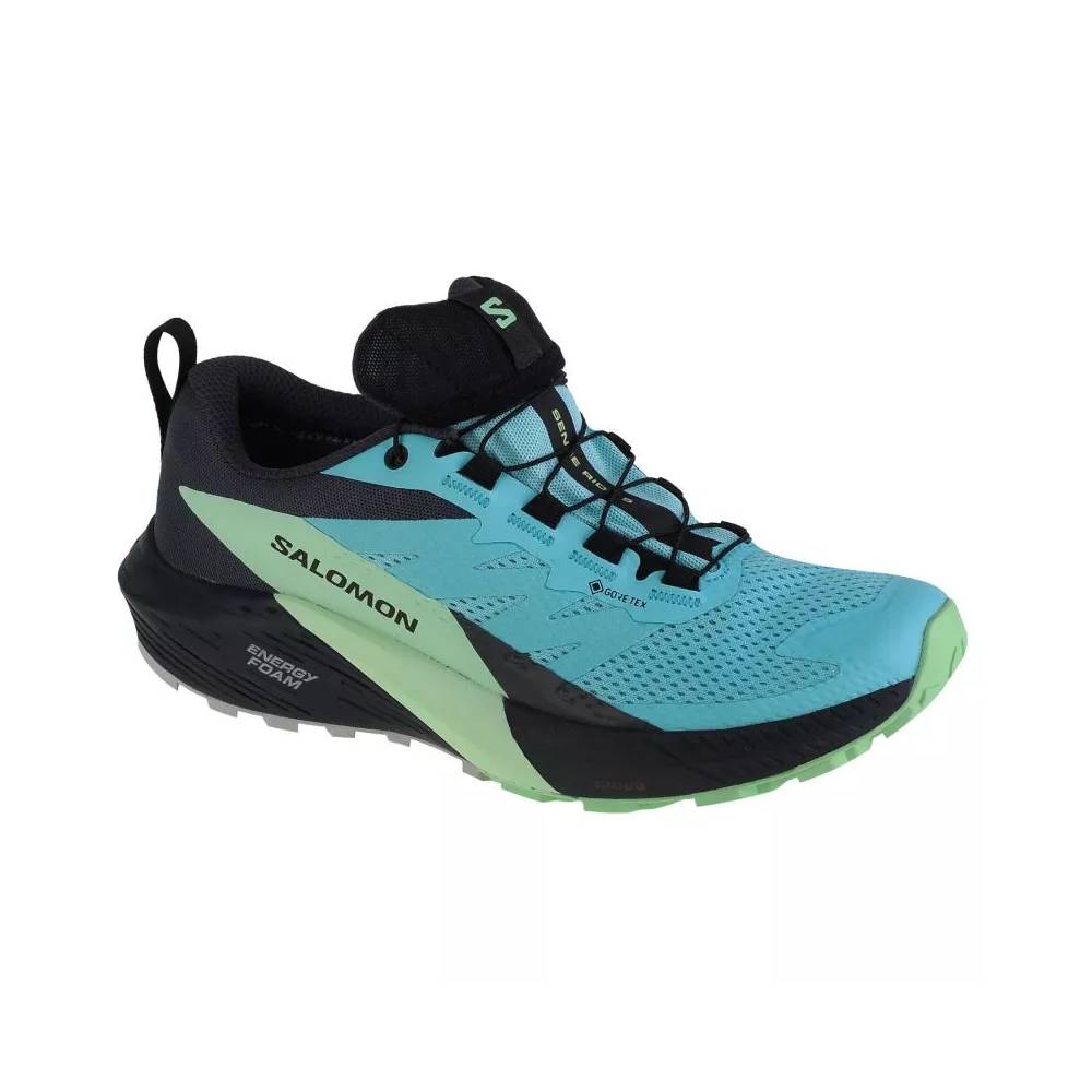 Salomon Sense Ride 5 GTX W 472160 bėgimo bateliai