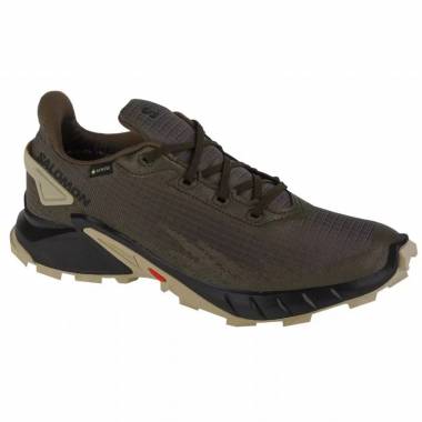 Salomon Alphacross 4 GTX M 471169 bėgimo bateliai