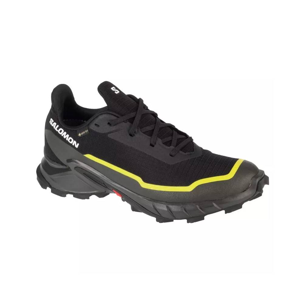 Salomon Alphacross 5 GTX M 474604 batai