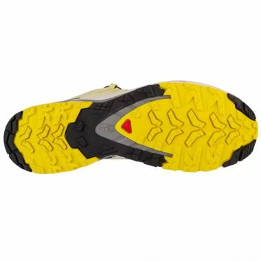 Salomon XA Pro 3D v9 M 474631 batai