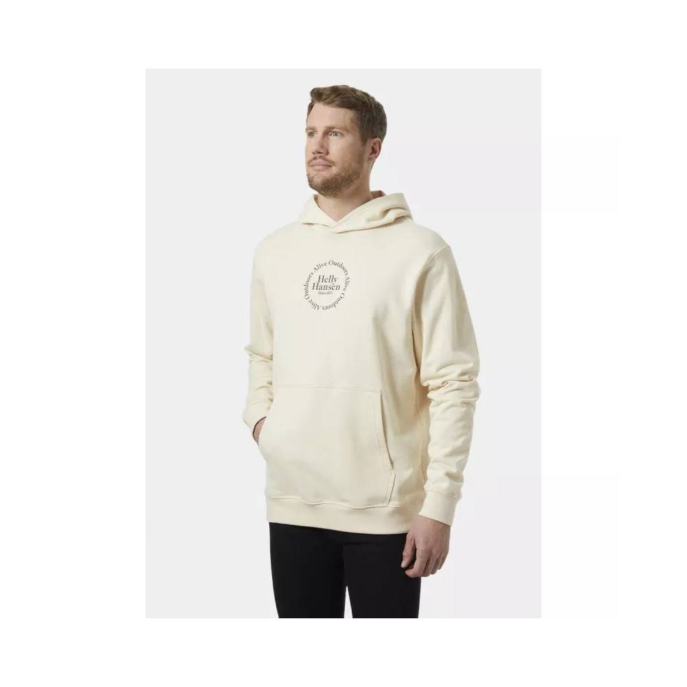 Helly Hansen Core Graphic Sweat Hoodie M 53924 034