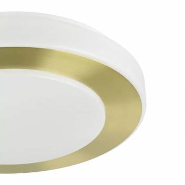 Šviestuvas plafonas Eglo Carpi 900369, 10.8 W, LED, 3000 °K