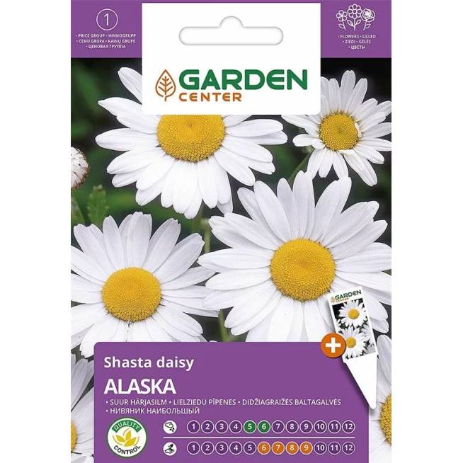 Sėklos Garden Center baltagalvė Alaska, 0.2 g