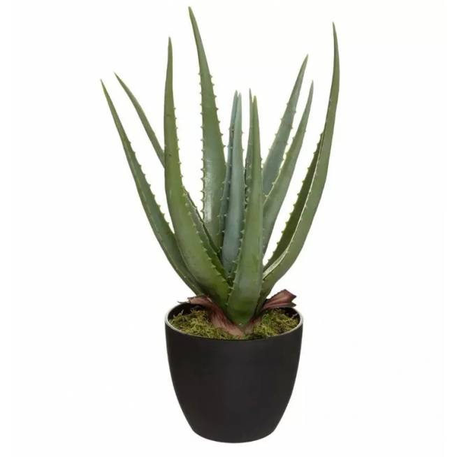 Dirbtinis augalas vazone Atmosphera Aloe, 44 cm