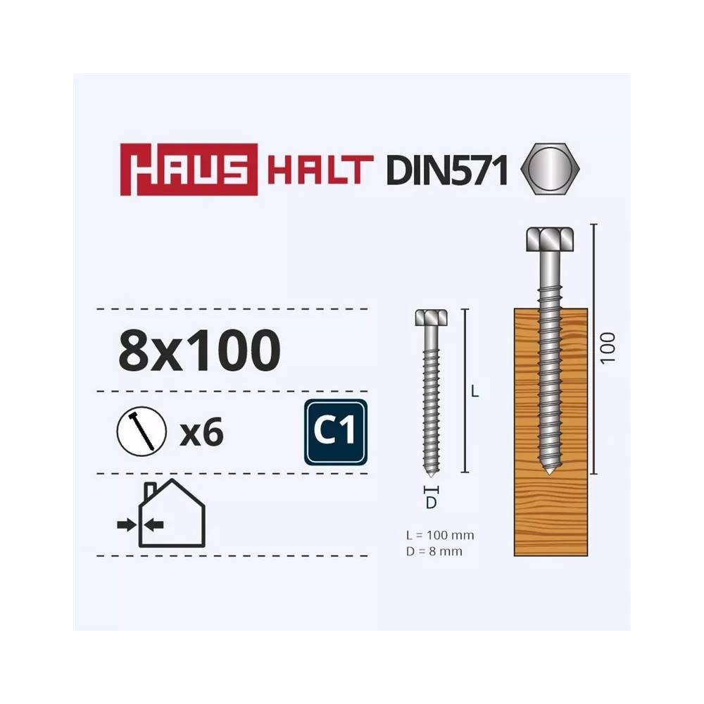 Medvaržčiai Haushalt, DIN571, 8,0 x 100 mm, ZN, 6 vnt.