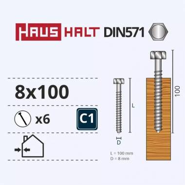 Medvaržčiai Haushalt, DIN571, 8,0 x 100 mm, ZN, 6 vnt.