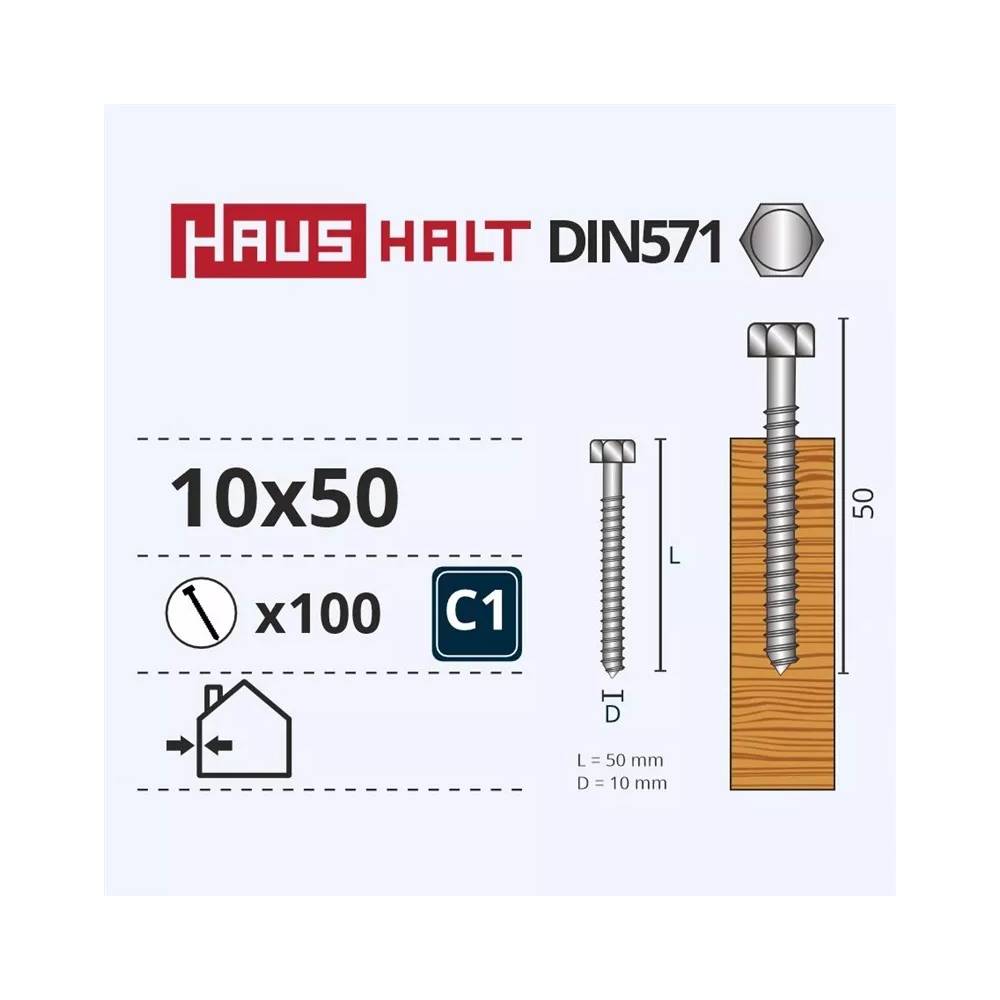 Medvaržčiai Haushalt, DIN571, 10,0 x 50 mm, ZN, 100 vnt.