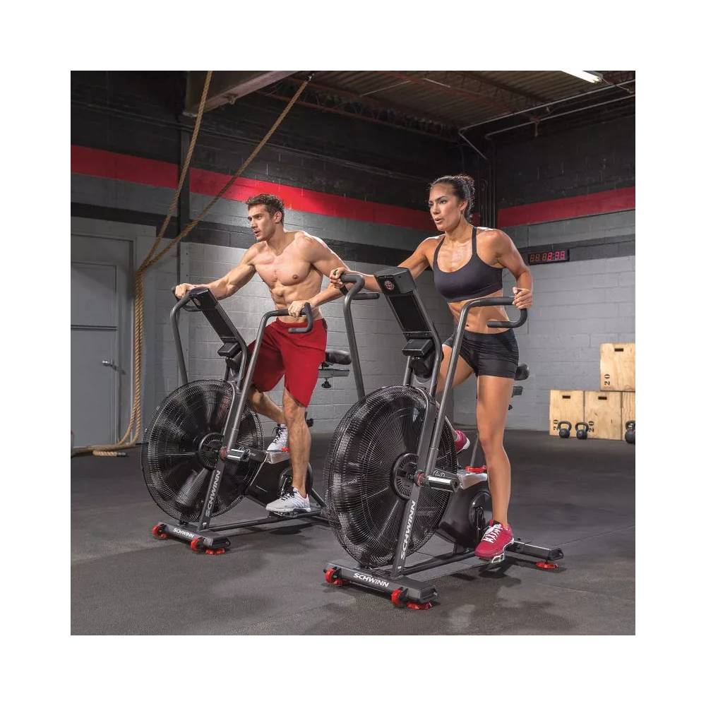 Schwinn Airdyne AD8 100475 Oro dviratis