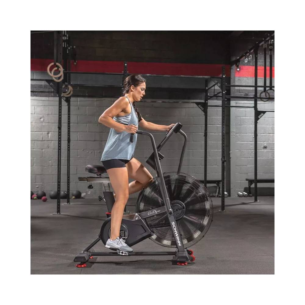 Schwinn Airdyne AD8 100475 Oro dviratis