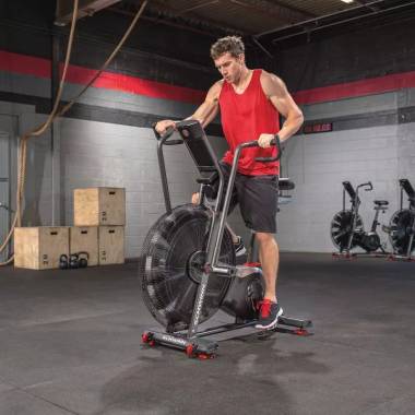 Schwinn Airdyne AD8 100475 Oro dviratis