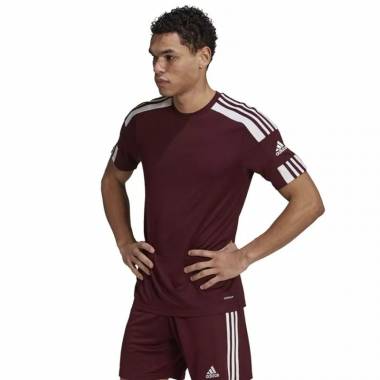 Marškinėliai adidas Squadra 21 JSY M GN8091