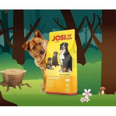 Sausas šunų maistas Josera JosiDog Economy, grūdai, 15 kg