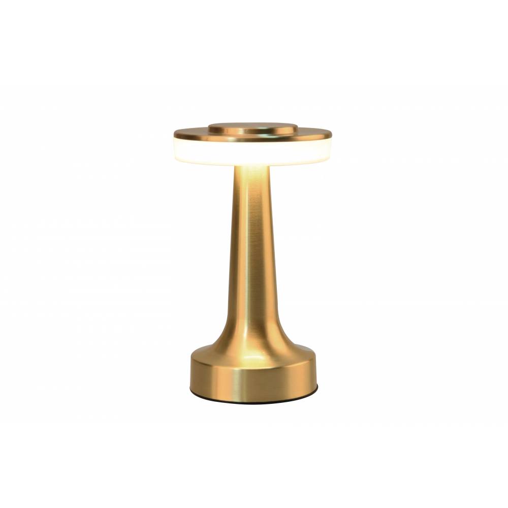 Stalinis šviestuvas Domoletti Rodeo ETLED-53C SATIN BRASS, LED, nešiojamas, 0.5W