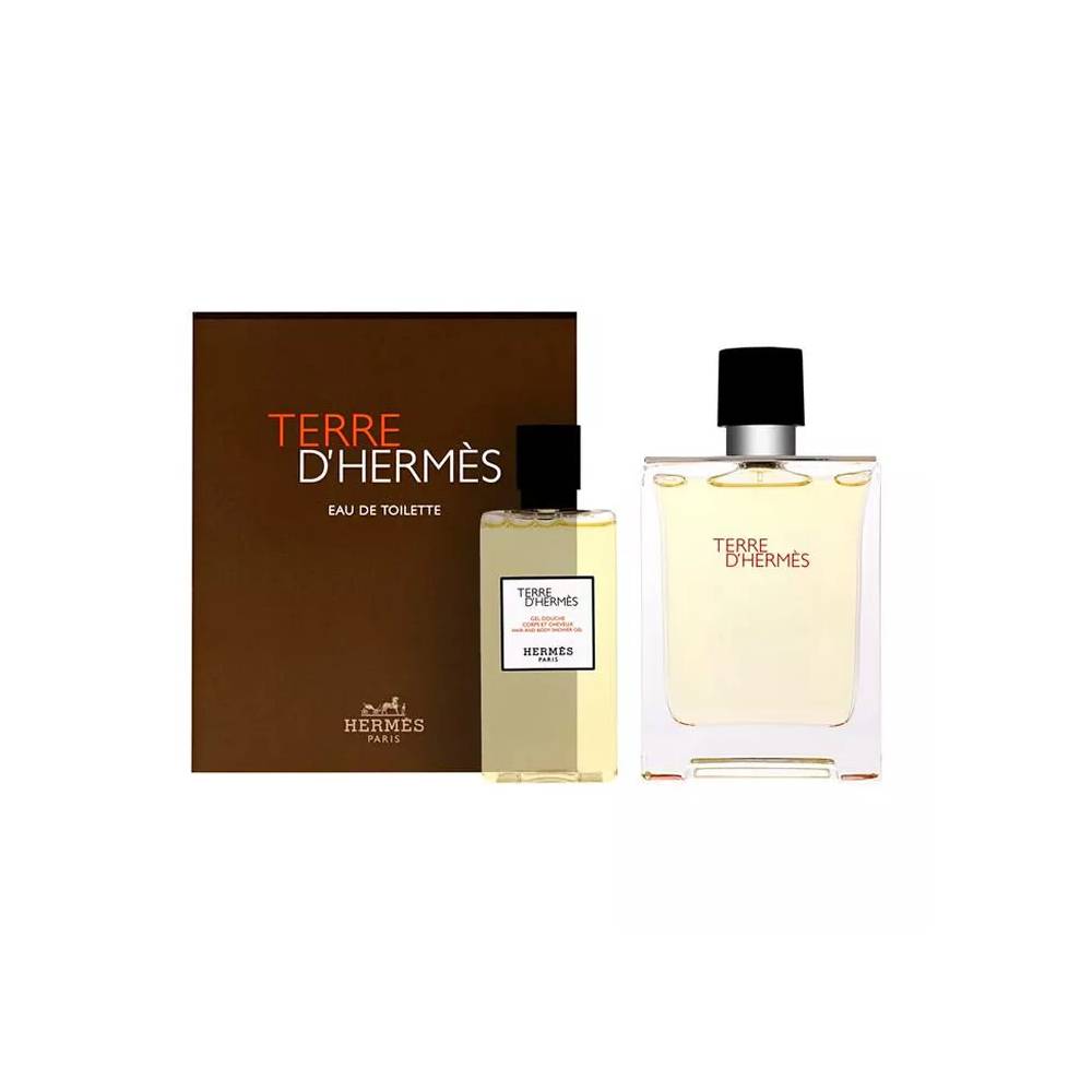 Hermès Terre D'Hermes tualetinis vanduo su purškikliu 100 ml, 2 vnt