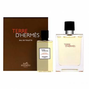 Hermès Terre D'Hermes tualetinis vanduo su purškikliu 100 ml, 2 vnt