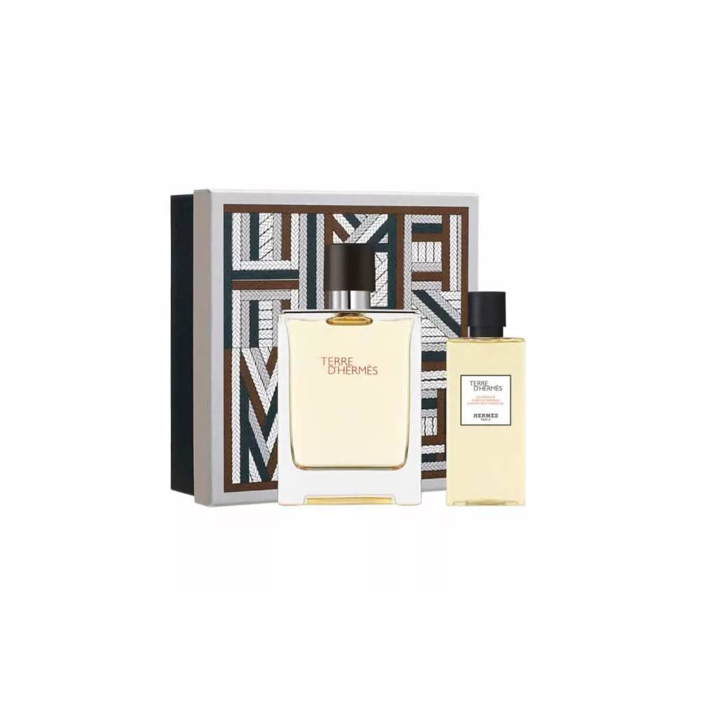 Hermès Terre D'Hermès tualetinis vanduo su purškikliu 100 ml, 2 vnt