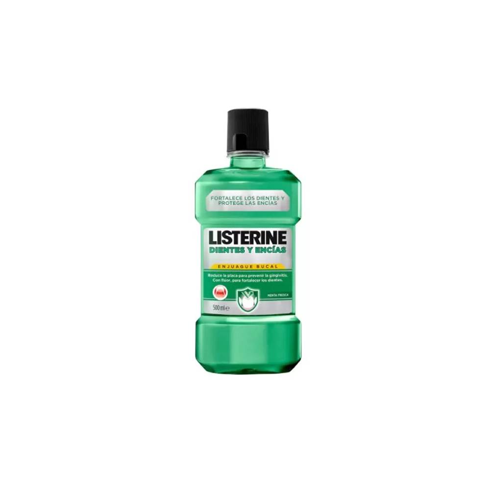 "Listerine" dantų ir dantenų burnos skalavimo skystis 500ml