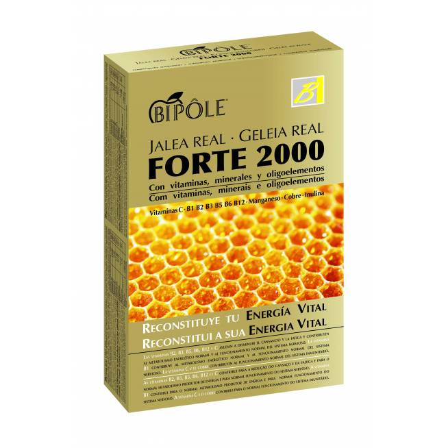 "Intersa" dvipolis "Jalea Forte 2000" 20 A