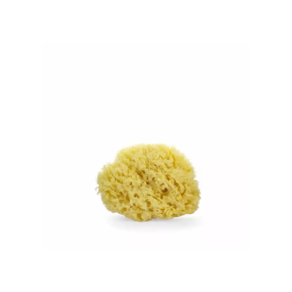 "Lua" ir "Lee Sponge" 1 vienetas