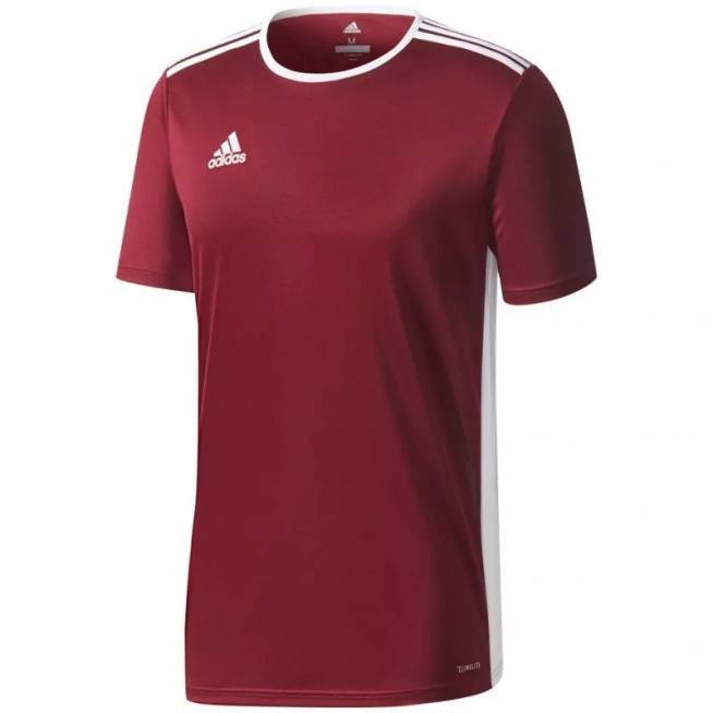 Adidas ENTRADA 18 Jr CD8430 marškinėliai