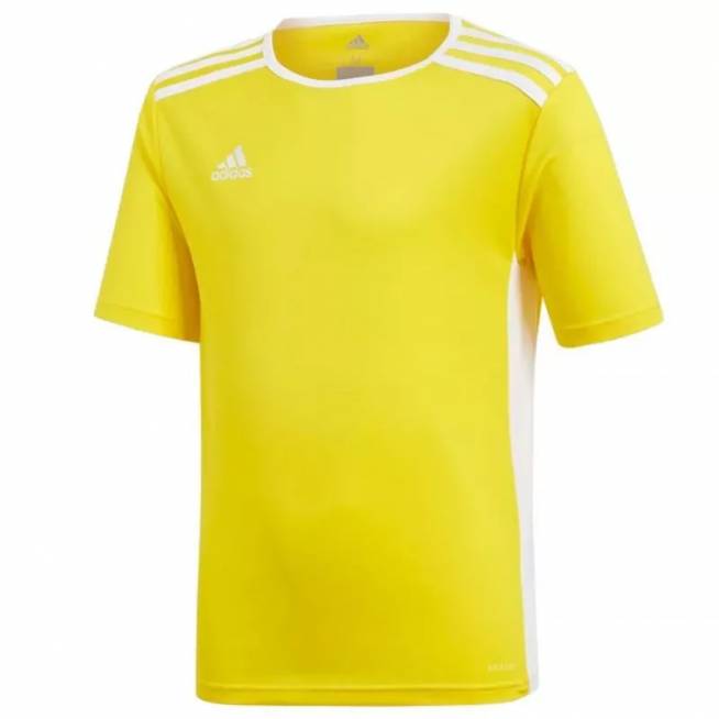 Marškinėliai adidas Entrada 18 Jsyy Jr CF1039