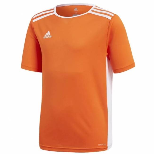 Marškinėliai adidas Entrada 18 JSY Y Jr CF1043