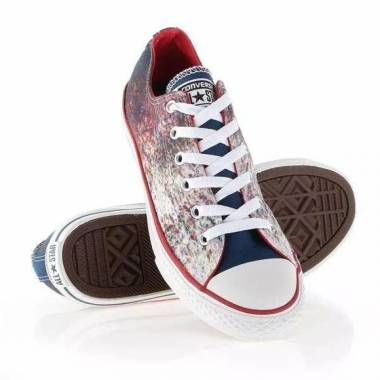 Converse Chuck Taylor All Star Jr 647644C