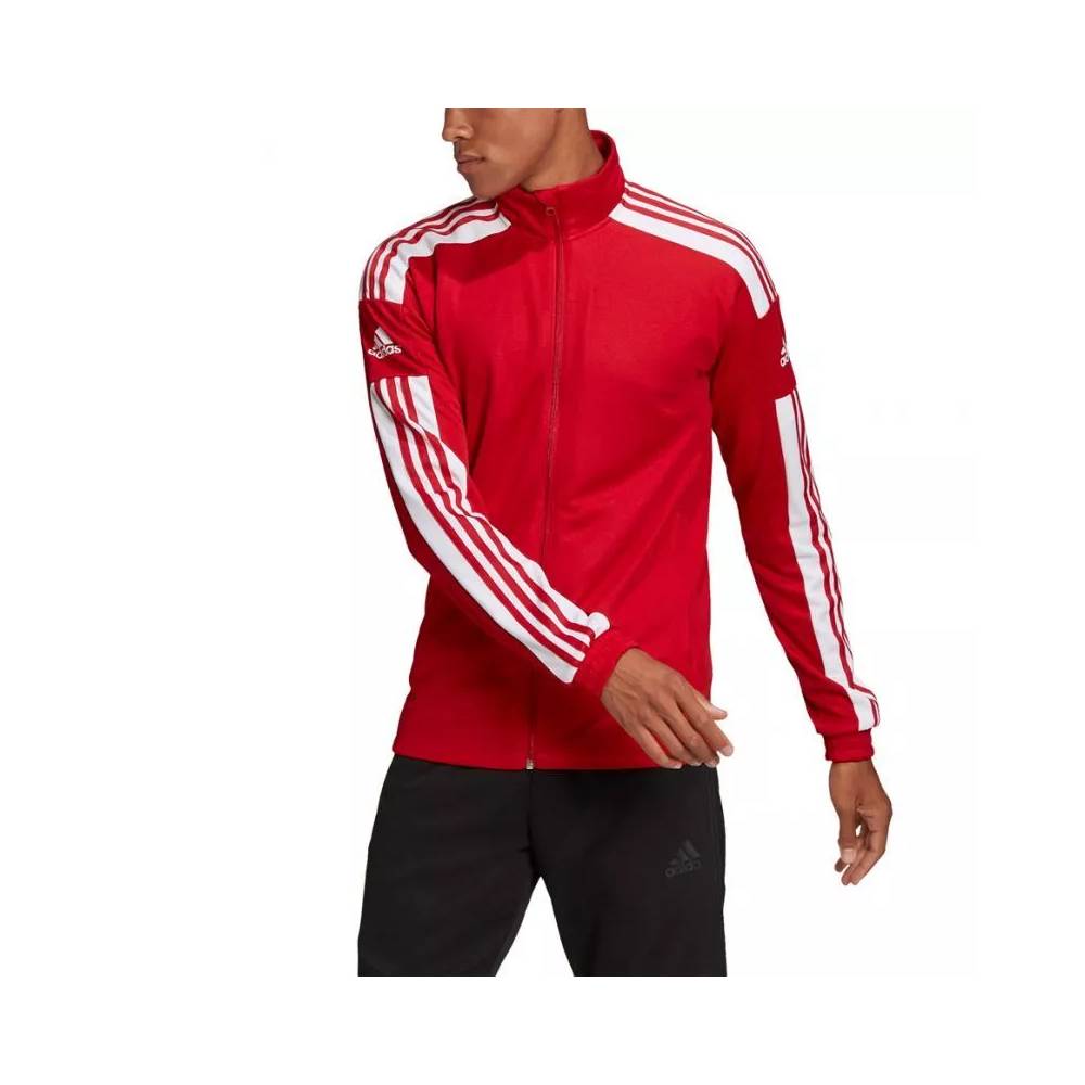 Adidas Squadra 21 Training M GP6464 džemperis