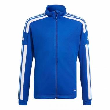 Adidas Squadra 21 Training Youth Jr GP6457 džemperis