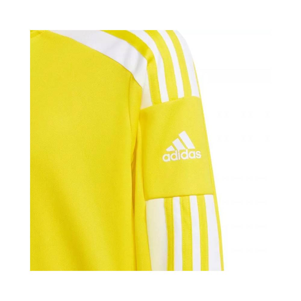 Adidas Squadra 21 Training Youth Jr GP6453 džemperis