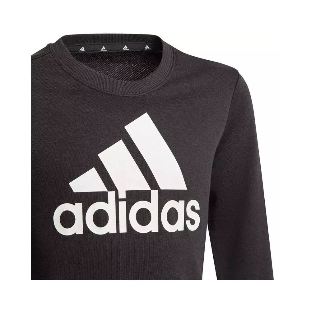 Džemperis adidas Essentials Big Logo Jr GP0040