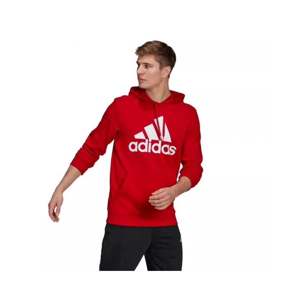 Džemperis adidas Essentials Big Logo M GV0249