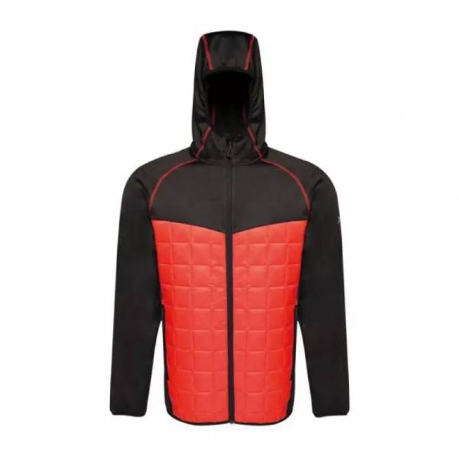 Regatta Modular Thermal M TRA517 92F striukė