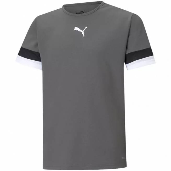 Marškinėliai Puma teamRise Jersey Jr 704938 13