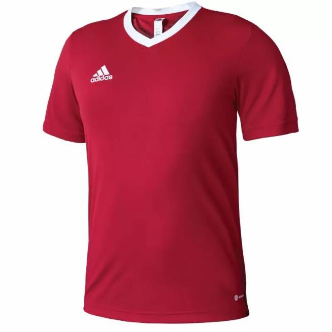 Marškinėliai adidas Entrada 22 M H61736