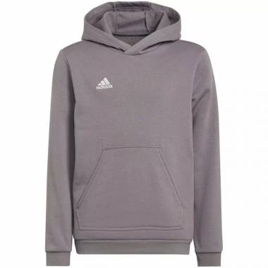 Džemperis adidas Entrada 22 Hoody Jr H57515