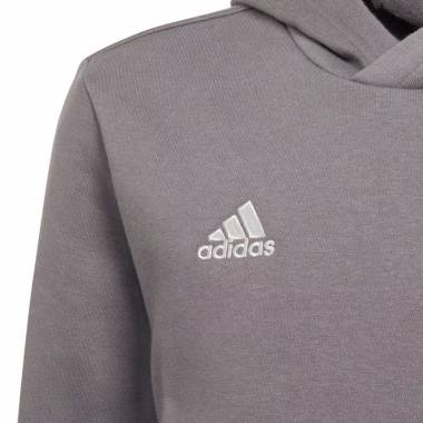 Džemperis adidas Entrada 22 Hoody Jr H57515