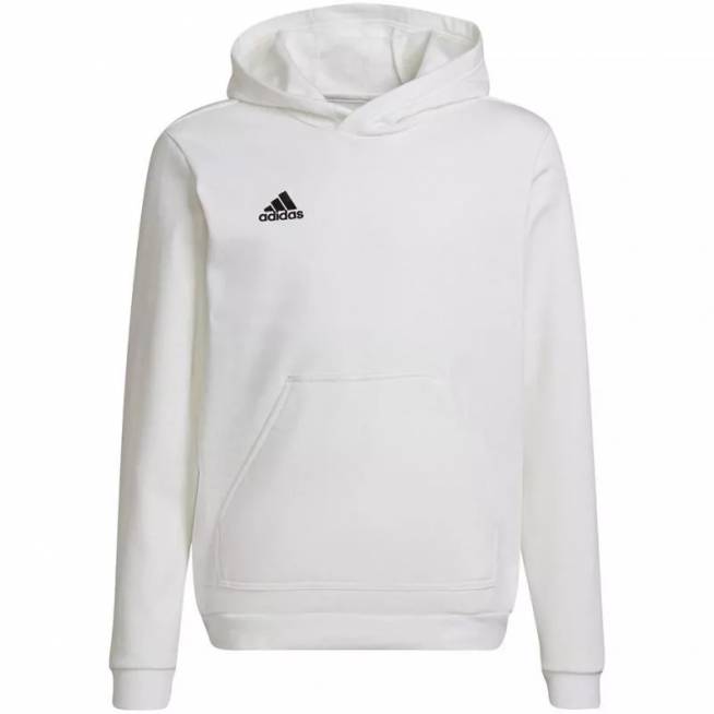 Džemperis adidas Entrada 22 Hoody Jr HG6303