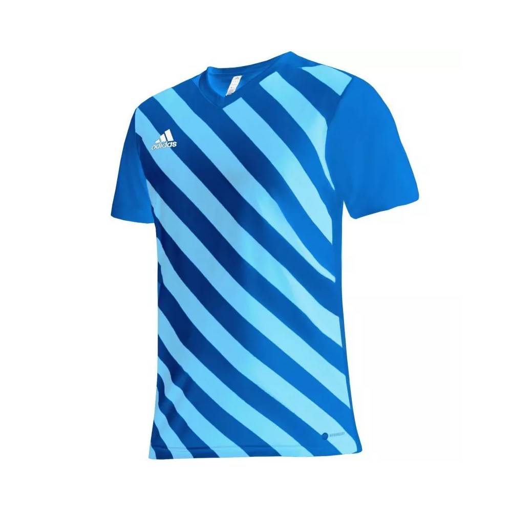 Marškinėliai adidas Entrada 22 Graphic Jersey M HF0116