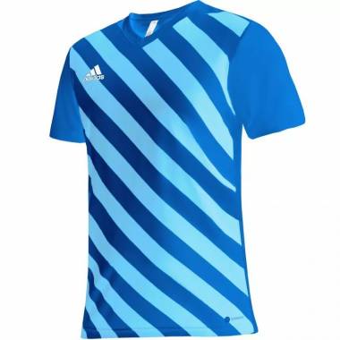 Marškinėliai adidas Entrada 22 Graphic Jersey M HF0116