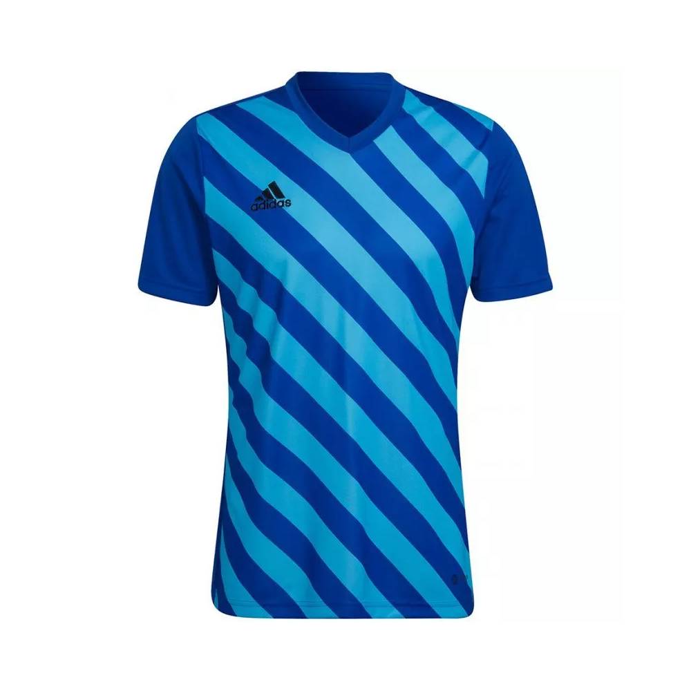 Marškinėliai adidas Entrada 22 Graphic Jersey M HF0116