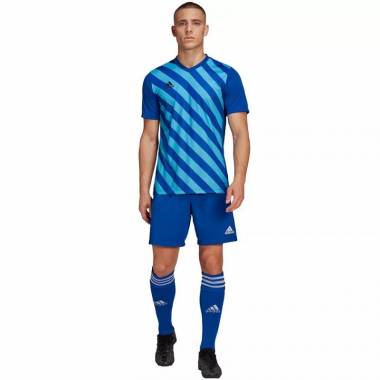 Marškinėliai adidas Entrada 22 Graphic Jersey M HF0116