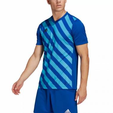 Marškinėliai adidas Entrada 22 Graphic Jersey M HF0116