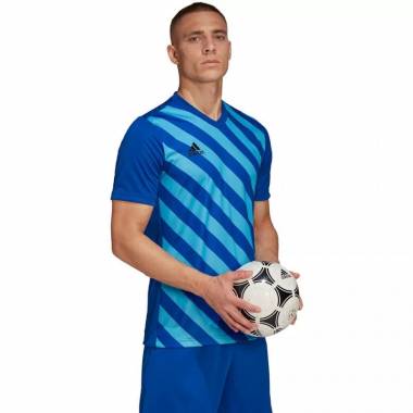 Marškinėliai adidas Entrada 22 Graphic Jersey M HF0116