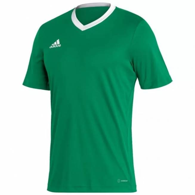 Marškinėliai adidas Entrada 22 marškinėliai M HI2123