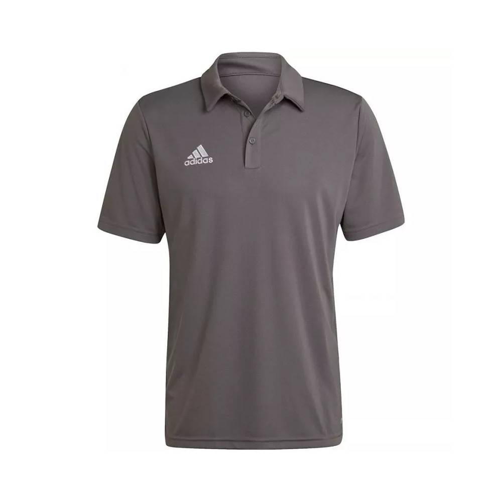 Adidas marškinėliai Entrada 22 Polo M H57486