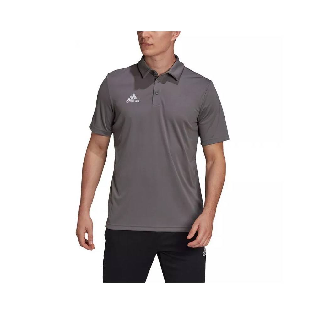 Adidas marškinėliai Entrada 22 Polo M H57486