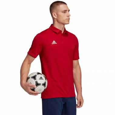 Adidas marškinėliai Entrada 22 Polo M H57489